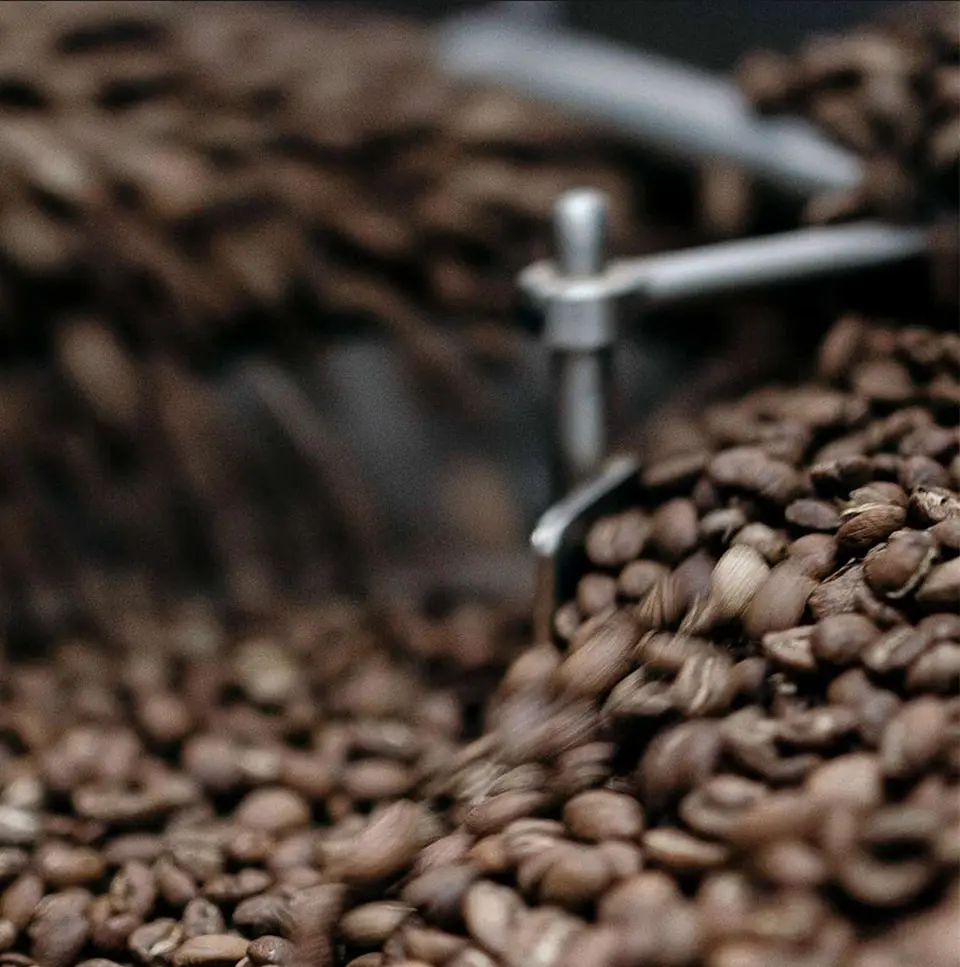 Lumeespresso